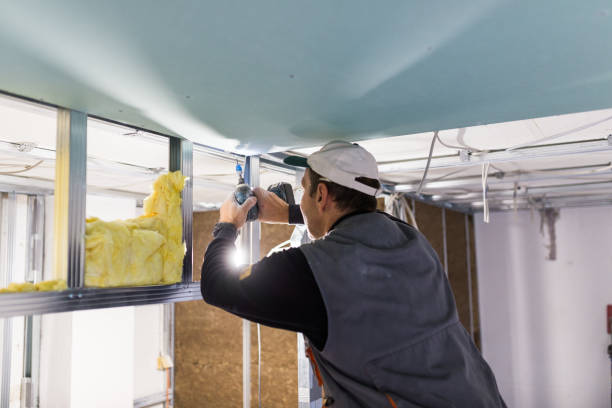Best DIY Insulation Kits and Guidance in Agler Estates, FL