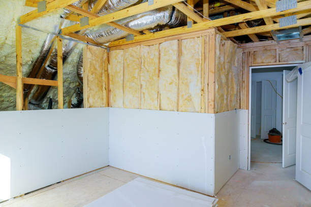Best Eco-Friendly Insulation in Agler Estates, FL