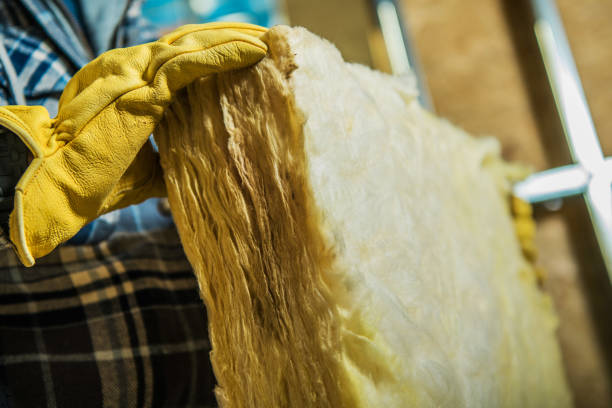 Best Geographic-Specific Insulation Services in Agler Estates, FL