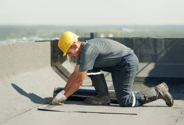 Best Energy Efficiency Insulation in Agler Estates, FL