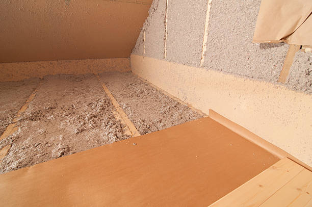 Best Blown-in Insulation in Agler Estates, FL