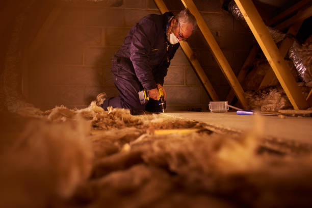 Best Spray Foam Insulation in Agler Estates, FL